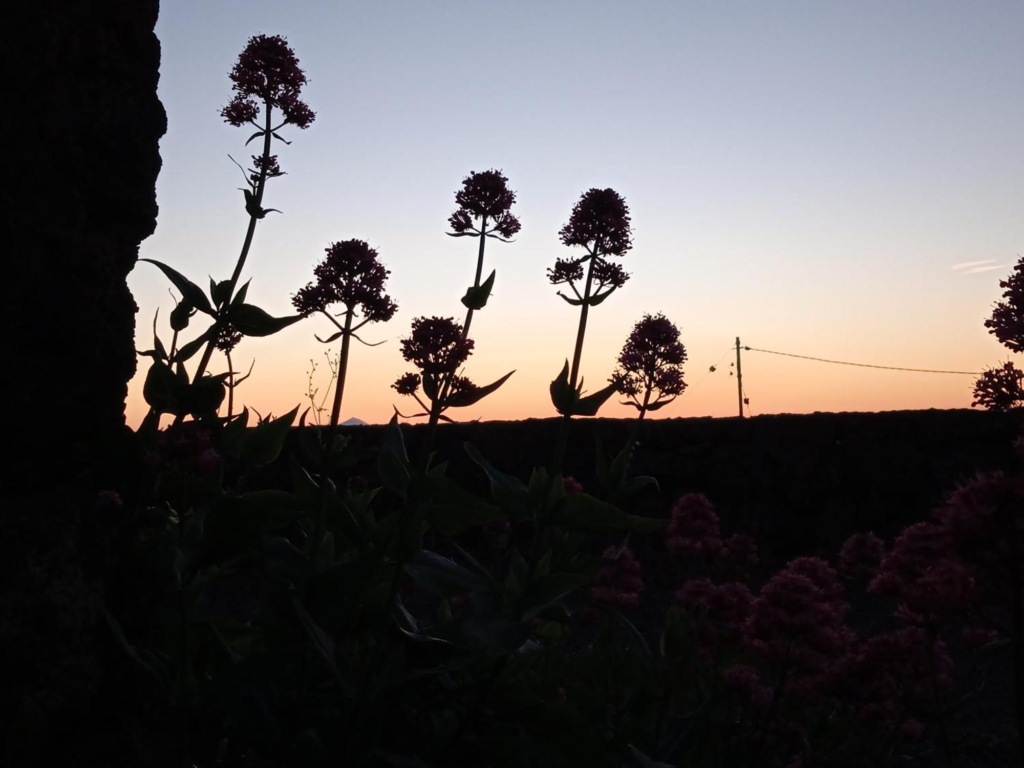 Casa Ben Abora Villa Las Rosas  Eksteriør bilde